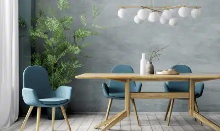 chaises de salle à manger