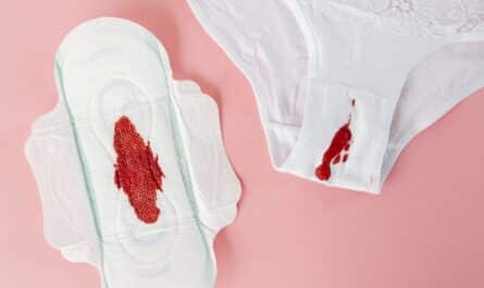 culottes menstruelles