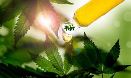 Le CBD en ligne