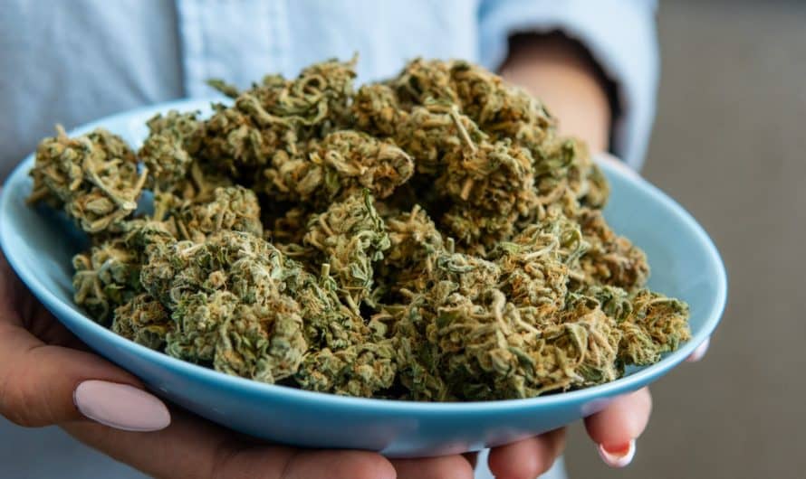 Quels sont les risques connus du CBD ?