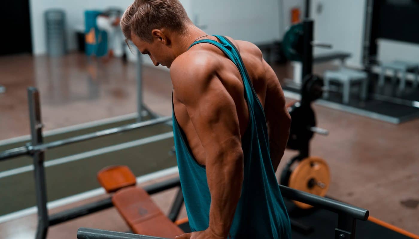 Triceps et exercice