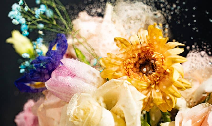 Panorama des plus beaux bouquets de fleurs pour la Fête des Mères : significations et idées de choix