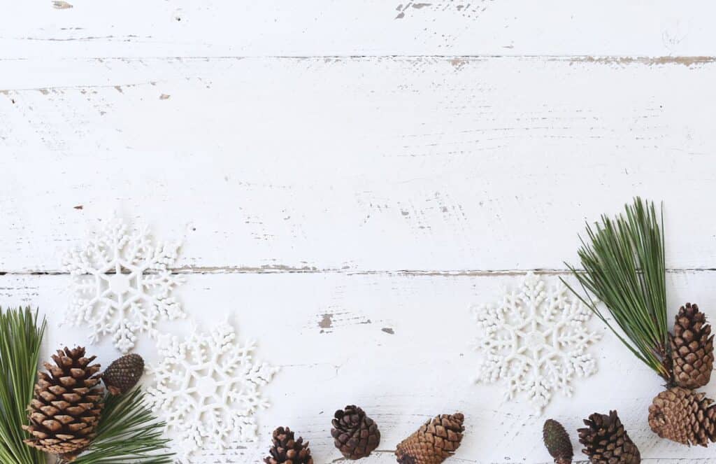 décoration de Noël écologique et économique