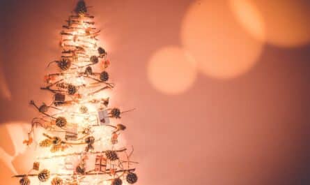 décoration de Noël écologique et économique