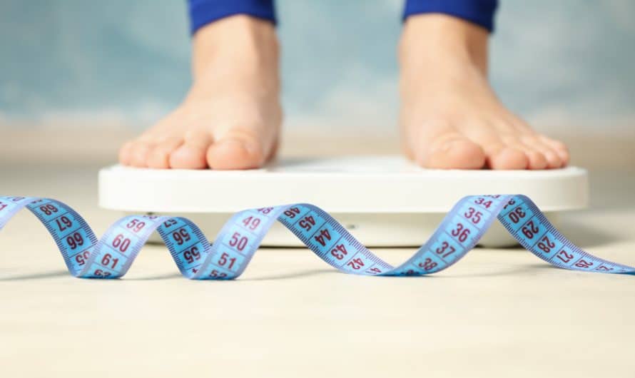 Tout savoir sur le régime Dukan : un guide détaillé