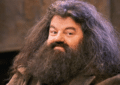 Hagrid