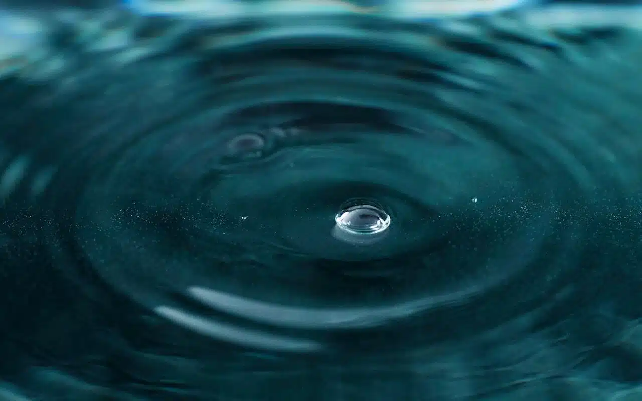aquatiques