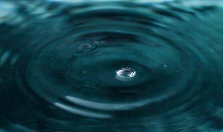 aquatiques