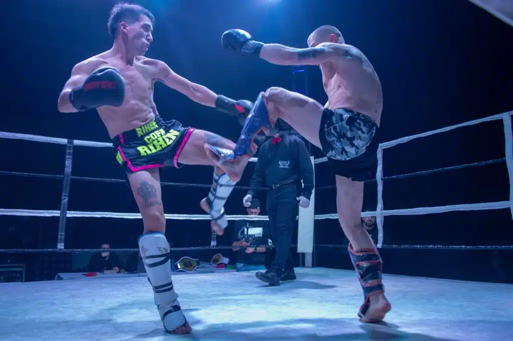  protège-tibias pour la boxe 