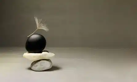 wabi sabi