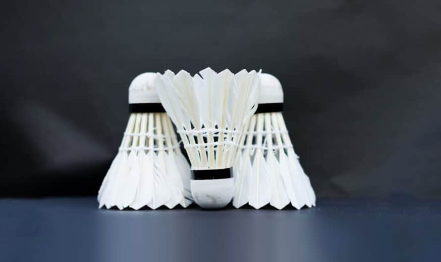 Les fédérations de badminton et leur rôle dans le sport