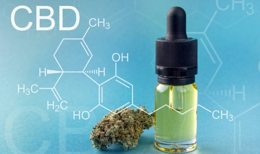 Quelle forme de CBD privilégier pour une utilisation quotidienne ?
