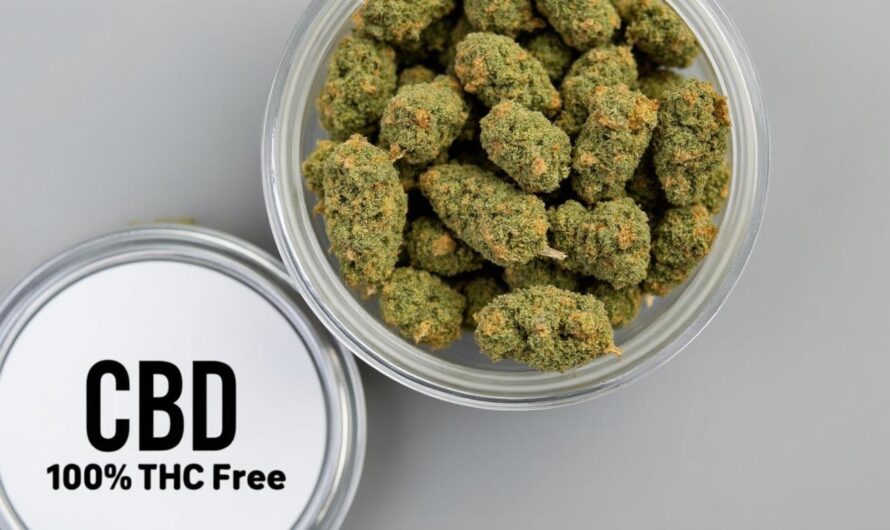 Le CBD sans THC : Un complément naturel pour réduire le stress quotidien