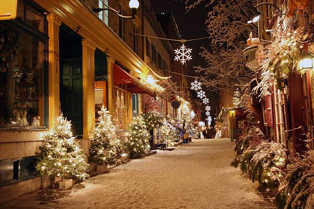 Sapins de Noël