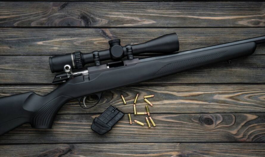 Comment bien choisir votre carabine 22 LR pour une pratique de tir optimale ?