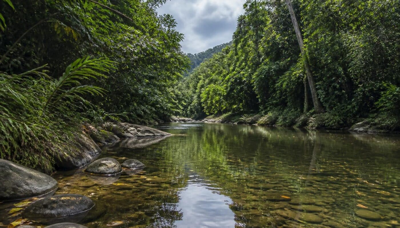 découvrez la réponse pour 'rivière de guyane' dans vos mots fléchés et facilitez la résolution de vos grilles avec notre aide dédiée.