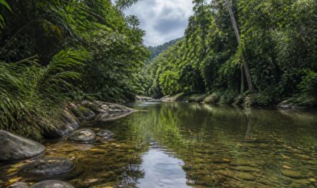 découvrez la réponse pour 'rivière de guyane' dans vos mots fléchés et facilitez la résolution de vos grilles avec notre aide dédiée.