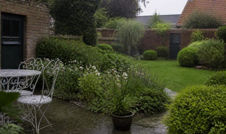 Sud-Manche : comment adapter son jardin au changement climatique ?